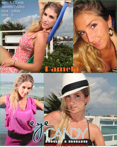 PAMELA